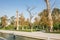 Trees in autaumn at the garden of  Golestan Palace inTehran, Iran,which is a UNESCO World Heritage site