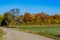 Trees in autumn colors along hiking path in Wiesloch, Germany