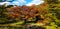 Trees with autumn colors and Mount Fitz Roy, Patagonia, Argentina