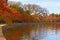 Trees in autumn foliage along Tidal Basin walkway, Washington DC.