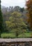 Trees in autumn with the leaves changing colour, photographed in Castle Combe, Wiltshire, in the Cotswolds, UK