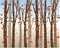 Trees background. The trunk and leaves in separate layers. Vector. a forest image