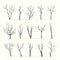 Trees with bare branches silhouette set. Mysterious black growths twisting stems of plants with various tracery forms of