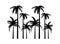 trees beach palms silhouettes