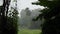 Trees being drenched and blowing in the wind of a tropical rain storm in Northern Thailand, Southeast Asia, during monsoon season