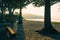 Trees, bench and a hut at the beach