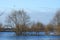 Trees, bird and beaver near river Sysa, Lithuania