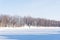 Trees on a blue sky background in a winter forest landscape, naked birches in winter