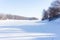 Trees on a blue sky background in a winter forest landscape, naked birches in winter