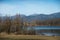 trees in border the lake of Michelbach in alsace - France