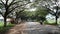 Trees on both side of a high way and shadow of those trees over pitch road.