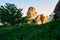 The trees and boulder moorstone sunset