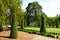 Trees in Buen Retiro public park, Madrid, Spain