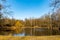 Trees and bushes reflecting in big pond