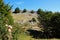 Trees, bushes, rocks and blue sky. Bjelasnica Mountain