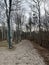 Trees close to the coast of the baltic sea in Germany