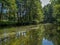 Trees and clouds reflecting in a water