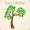 Trees Color Vector Selection