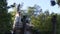 Trees compete with headstones in overgrown dilapidated cemetery