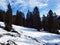 Trees and coniferous forests on the slopes between the mountain massive Alvier group and Seeztal valley