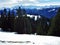 Trees and coniferous forests on the slopes between the mountain massive Alvier group and Seeztal valley