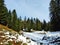 Trees and coniferous forests on the slopes between the mountain massive Alvier group and Seeztal valley