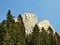 Trees and coniferous forests on the slopes between the mountain massive Alvier group and Seeztal valley