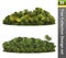 Trees correction design set. Forest isolated. Illustration 3d rendering