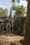 Trees in courtyard, Angkor Wat Temple, Cambodia