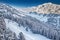 Trees covered by fresh snow in Austria Alps - Zillertal arena, A