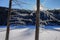 Trees Covered With Frost In Winter, Adirondack Forest Preserve,