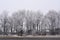 Trees covered by hoarfrost grow along the road. Winter countryside view