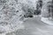 Trees covered with hoarfrost rime ice along the curvy road