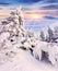 Trees covered with hoarfrost and snow in mountains