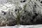 Trees covered with snow, dark sky and shining lantern. Night shot. Snowfall at night