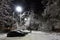 Trees covered with snow, dark sky and shining lantern through snowing. Park scene. Night shot