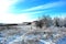 Trees covered with snow, glade with forest edge, winter landscape, blue cloudy sky