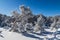 Trees covered with snow near Grand Canyon. Snow on ground; blue sky above.