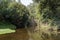 Trees covering the river. Dense vegetation in the banks of the river. Porto