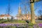 Trees and crocusses in front of the Walburgis church in Zutphen