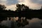 Trees in the dark with its shadow in the lake