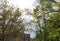 Trees Dominate Brewing Storm Sky With Building in Background