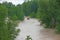 Trees of Elm and Hazel immersed in mud overflown river wat