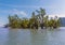 Trees emerge from the water in the channels leading to Phang Nga Bay in Thailand