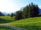 Trees and evergreen forests of the slopes of Alpstein mountain range and in the river Thur valley