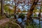 Trees with Fall Foliage Surrounding the Frio River at Garner State Park,