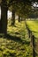 Trees and fence in country on autumn day