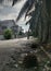 Trees or foliage growth along or around the residential street