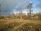 Trees in the foreground,birch forest,contry  behind row of trees, contry dirt road, autumn, tree shadows