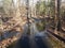 Trees in forest with water or a creek and fallen brown leaves and asphalt path